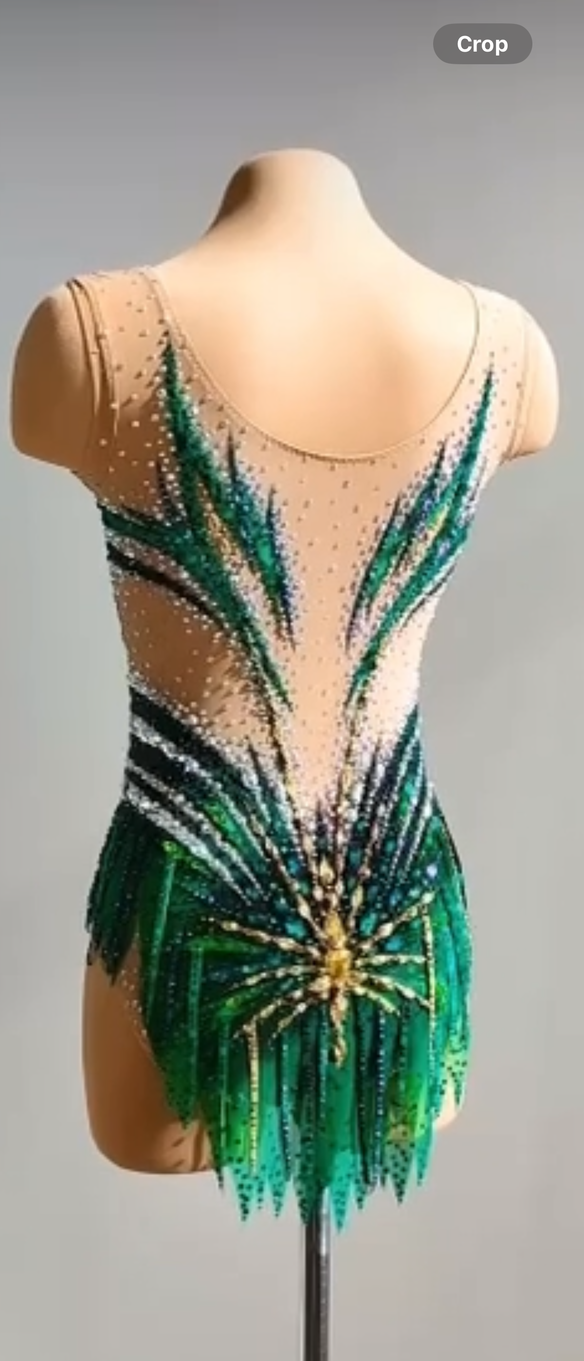 Leotard for RG created by Lana studio — photo 2
